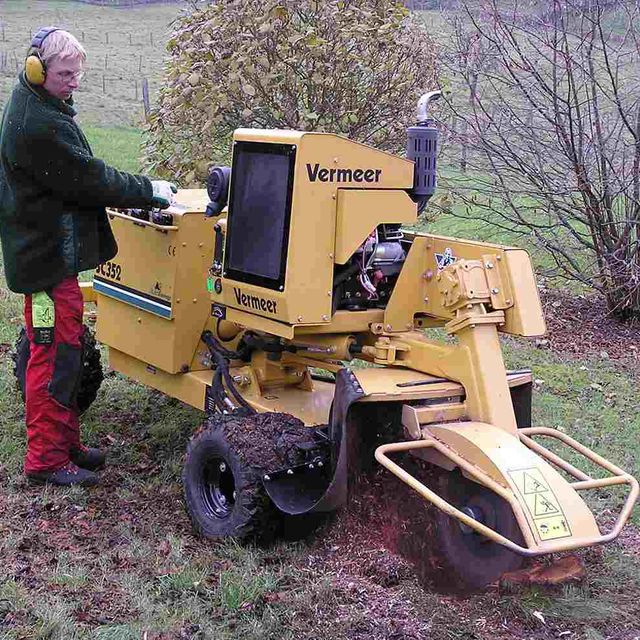 Arbeiter Maschine Baum Steidl Baumdienst Alfons Steidl