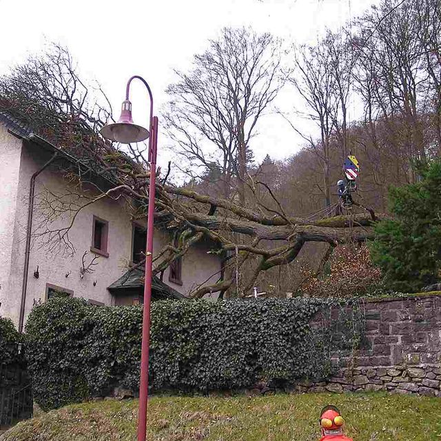 Laterne Haus Steidl Baumdienst Alfons Steidl