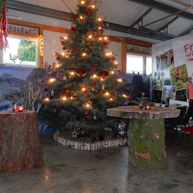 Tanne Weihnachtsbaum Steidl Baumdienst Alfons Steidl